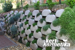 flórakosár talajtakaró évelőkkel (42)